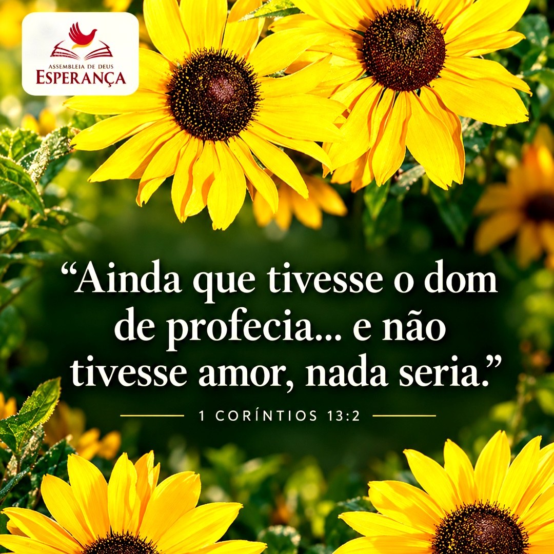 Folheto: Sem Amor, Nada Seria